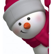 Подписка "пироPRO"